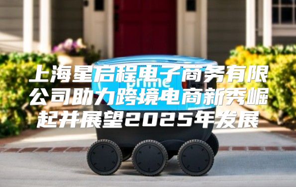 上海星启程电子商务有限公司助力跨境电商新秀崛起并展望2025年发展