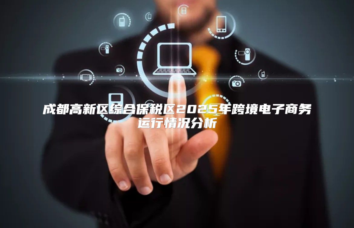 成都高新区综合保税区2025年跨境电子商务运行情况分析