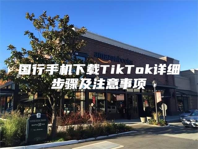 国行手机下载TikTok详细步骤及注意事项