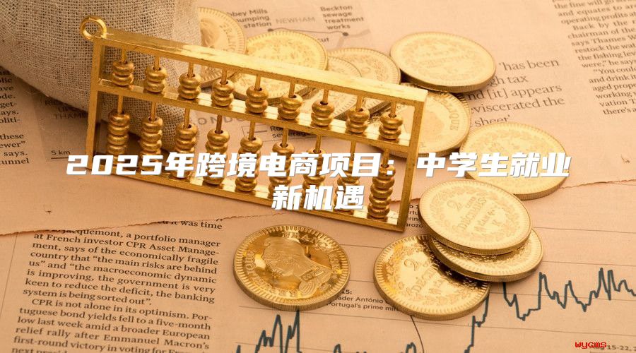 2025年跨境电商项目：中学生就业新机遇