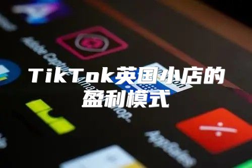 TikTok英国小店的盈利模式