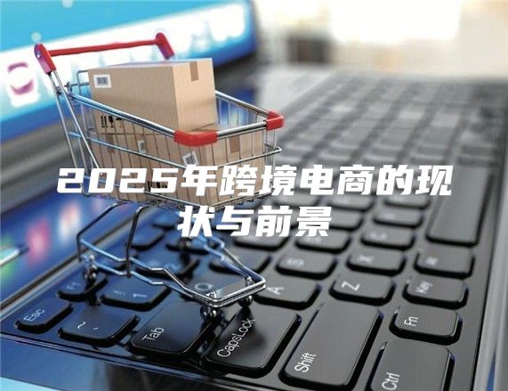 2025年跨境电商的现状与前景