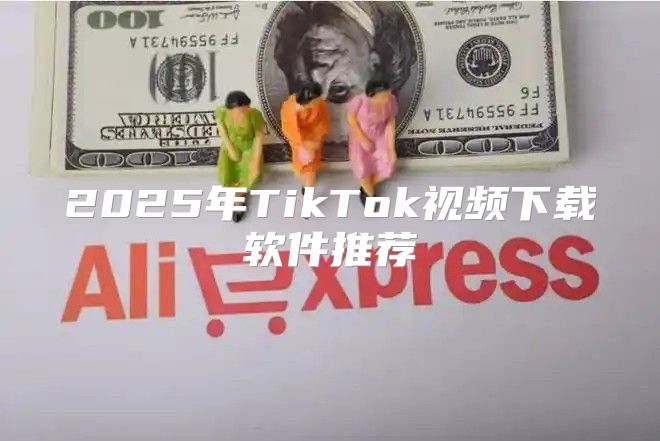 2025年TikTok视频下载软件推荐