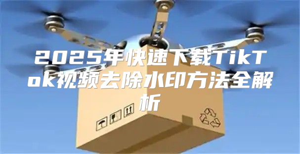2025年快速下载TikTok视频去除水印方法全解析