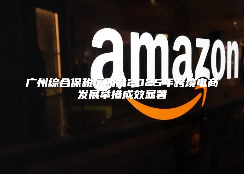广州综合保税区助力2025年跨境电商发展举措成效显著