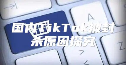 国内TikTok被封杀原因探究