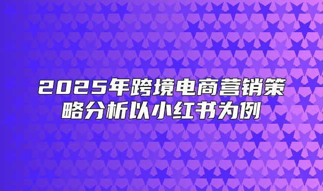2025年跨境电商营销策略分析以小红书为例