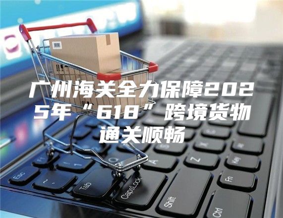 广州海关全力保障2025年“618”跨境货物通关顺畅
