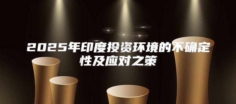 2025年印度投资环境的不确定性及应对之策