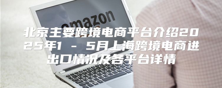 北京主要跨境电商平台介绍2025年1 - 5月上海跨境电商进出口情况及各平台详情