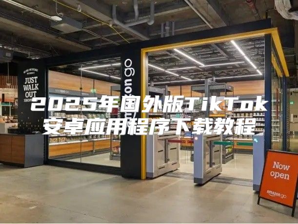 2025年国外版TikTok安卓应用程序下载教程