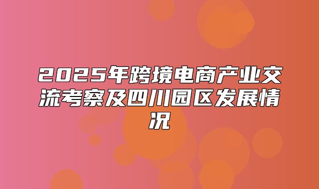 2025年跨境电商产业交流考察及四川园区发展情况