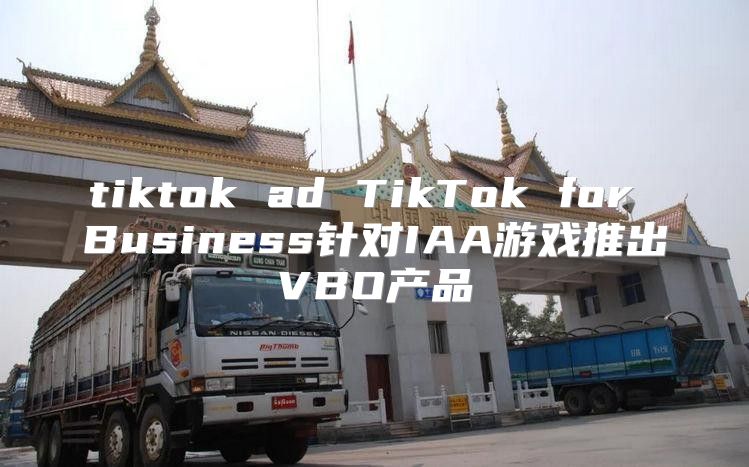 tiktok ad TikTok for Business针对IAA游戏推出VBO产品