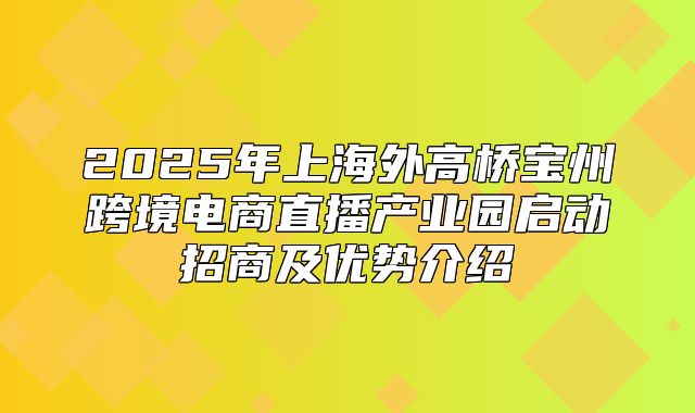 2025年上海外高桥宝州跨境电商直播产业园启动招商及优势介绍