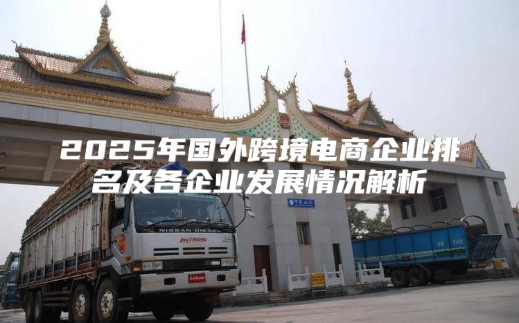 2025年国外跨境电商企业排名及各企业发展情况解析