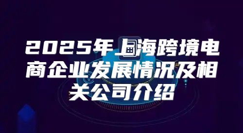 2025年上海跨境电商企业发展情况及相关公司介绍