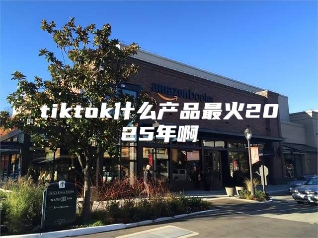 tiktok什么产品最火2025年啊