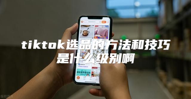 tiktok选品的方法和技巧是什么级别啊