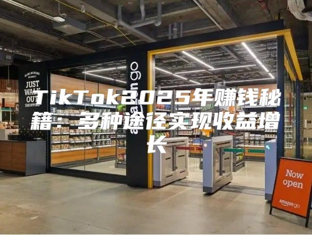TikTok2025年赚钱秘籍：多种途径实现收益增长