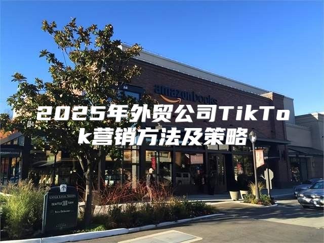 2025年外贸公司TikTok营销方法及策略