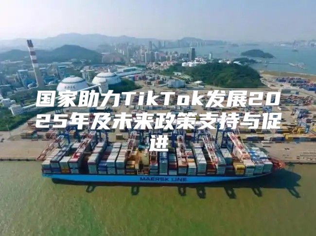 国家助力TikTok发展2025年及未来政策支持与促进