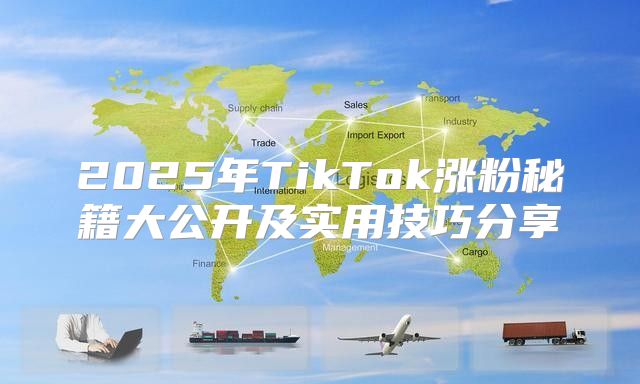 2025年TikTok涨粉秘籍大公开及实用技巧分享