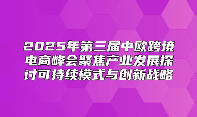 2025年第三届中欧跨境电商峰会聚焦产业发展探讨可持续模式与创新战略