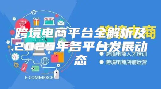 跨境电商平台全解析及2025年各平台发展动态