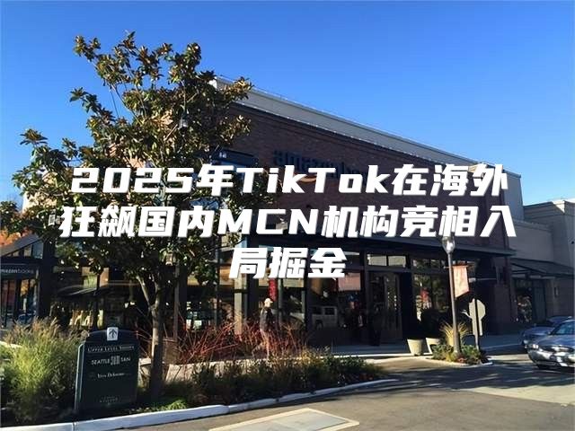 2025年TikTok在海外狂飙国内MCN机构竞相入局掘金