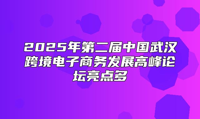 2025年第二届中国武汉跨境电子商务发展高峰论坛亮点多