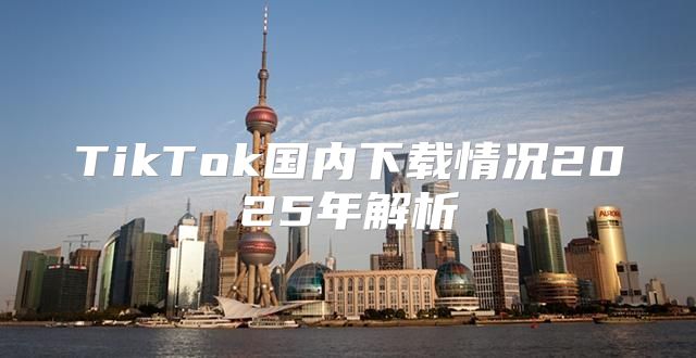TikTok国内下载情况2025年解析