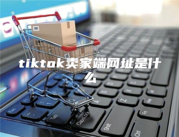 tiktok卖家端网址是什么