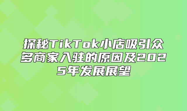 探秘TikTok小店吸引众多商家入驻的原因及2025年发展展望