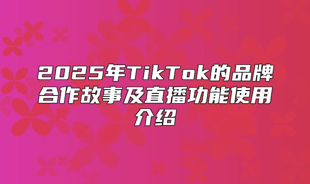 2025年TikTok的品牌合作故事及直播功能使用介绍