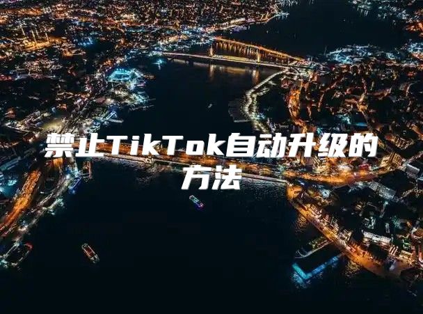 禁止TikTok自动升级的方法