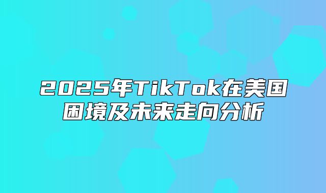 2025年TikTok在美国困境及未来走向分析