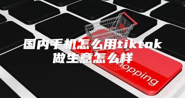 国内手机怎么用tiktok做生意怎么样