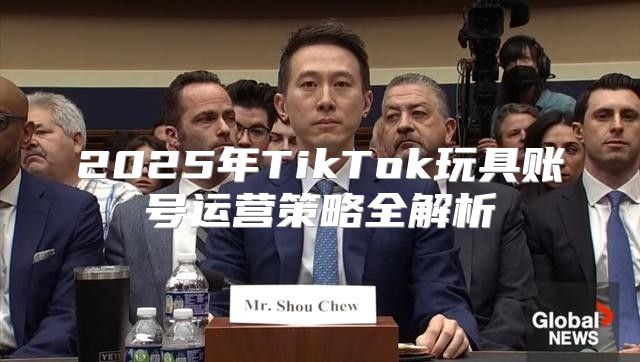 2025年TikTok玩具账号运营策略全解析