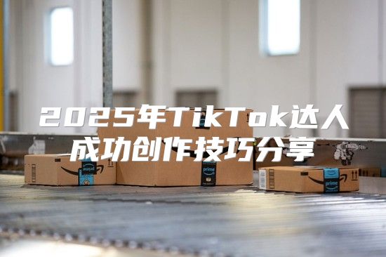 2025年TikTok达人成功创作技巧分享