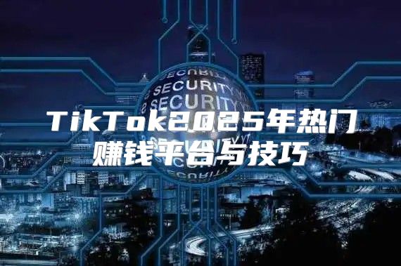 TikTok2025年热门赚钱平台与技巧