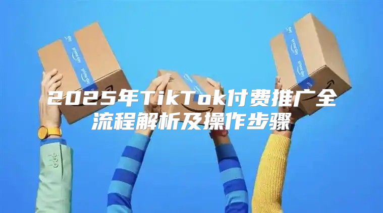 2025年TikTok付费推广全流程解析及操作步骤