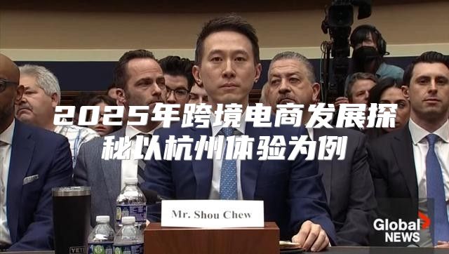 2025年跨境电商发展探秘以杭州体验为例