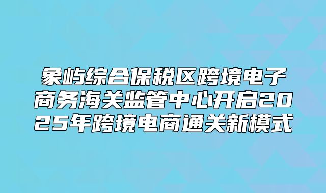 象屿综合保税区跨境电子商务海关监管中心开启2025年跨境电商通关新模式