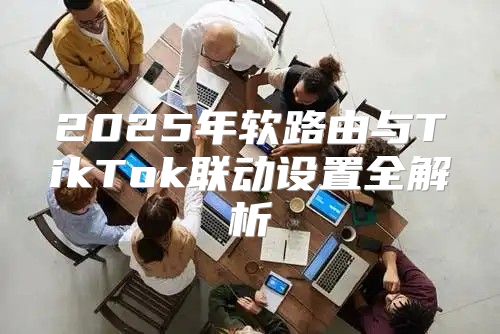 2025年软路由与TikTok联动设置全解析