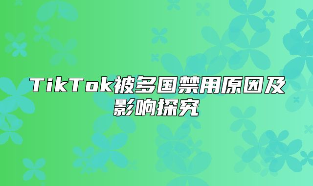 TikTok被多国禁用原因及影响探究