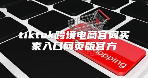 tiktok跨境电商官网买家入口网页版官方
