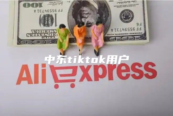 中东tiktok用户