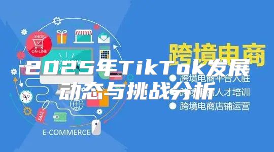 2025年TikTok发展动态与挑战分析