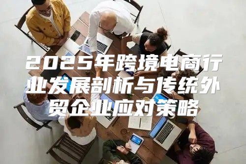 2025年跨境电商行业发展剖析与传统外贸企业应对策略