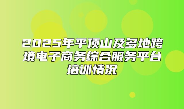 2025年平顶山及多地跨境电子商务综合服务平台培训情况